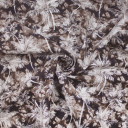 Ткань из 100% хлопка Германия Ткань из 100% хлопка Германия